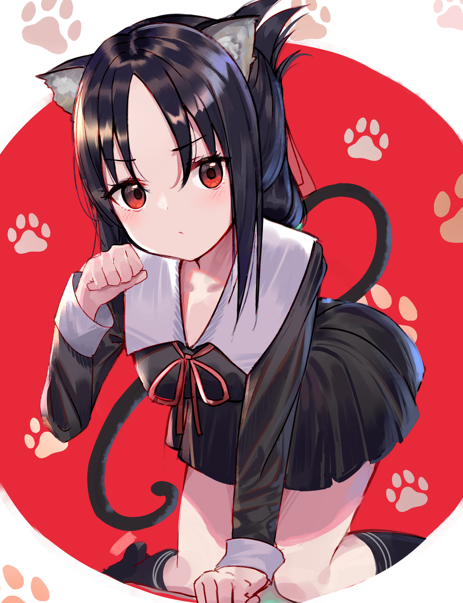 This is a pixiv picture whose title is 猫耳かぐや様.