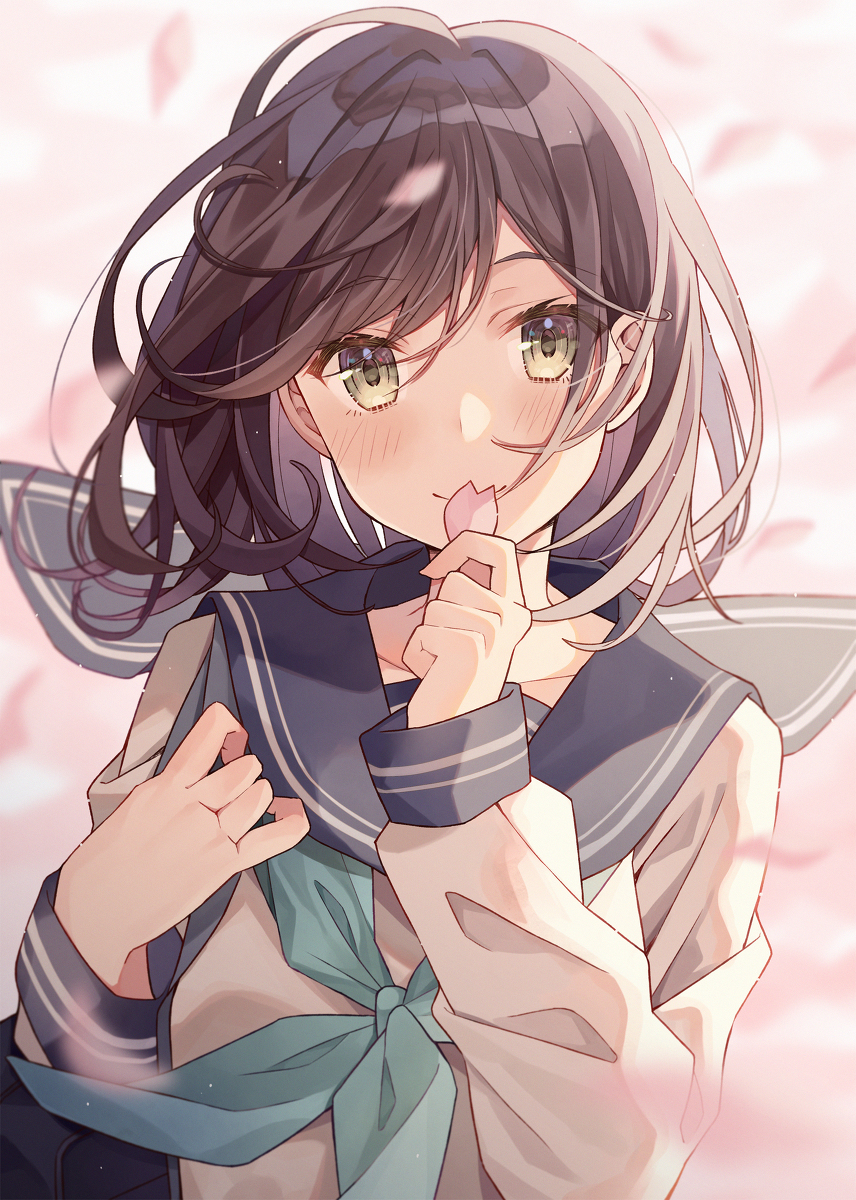 This is a pixiv picture whose title is spring.