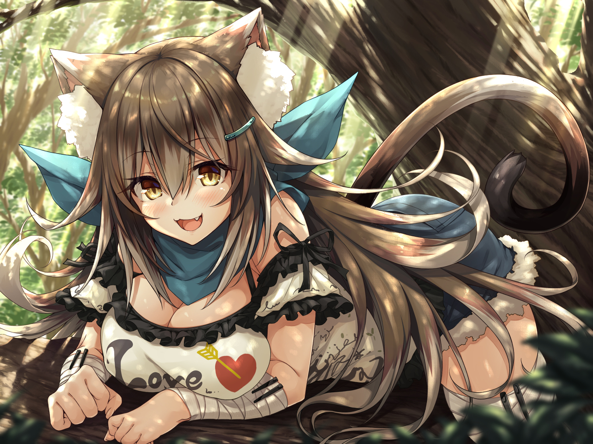 This is a pixiv picture whose title is あやかし郷愁譚 ～ヤマネコ やこ～.