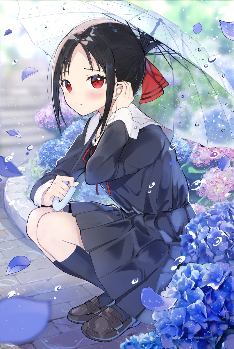This is a pixiv picture whose title is かぐや様.