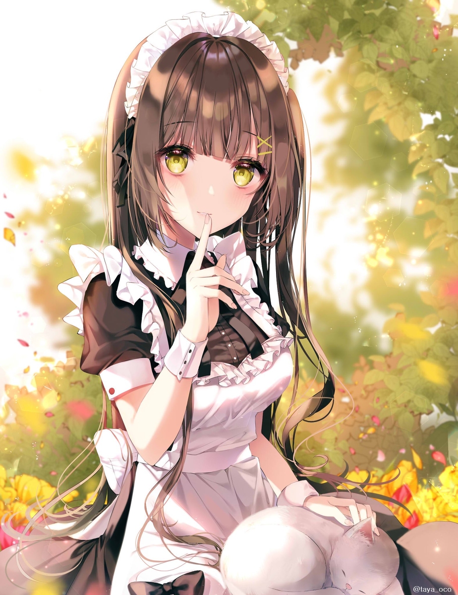 This is a pixiv picture whose title is 「今はしーっ、ですよ」.