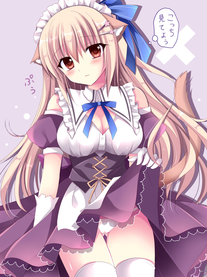 This is a pixiv picture whose title is 見てほしい猫メイドちゃん♡.