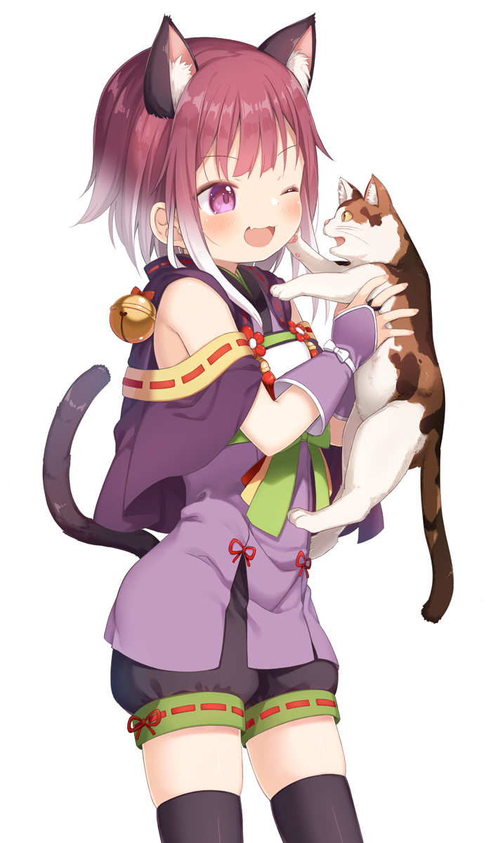 This is a pixiv picture whose title is タマキにゃん.