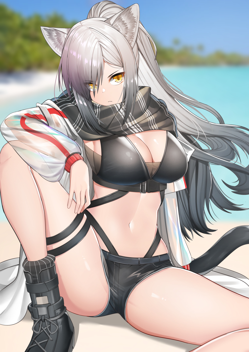 This is a pixiv picture whose title is シュヴァルツ.