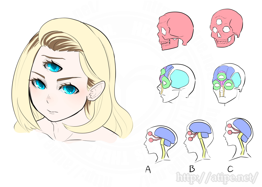 This is a pixiv picture whose title is 三つ目人間考察.