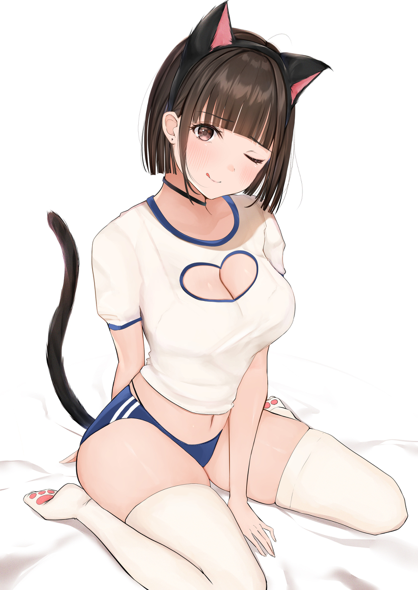 This is a pixiv picture whose title is 猫耳ブルマ.