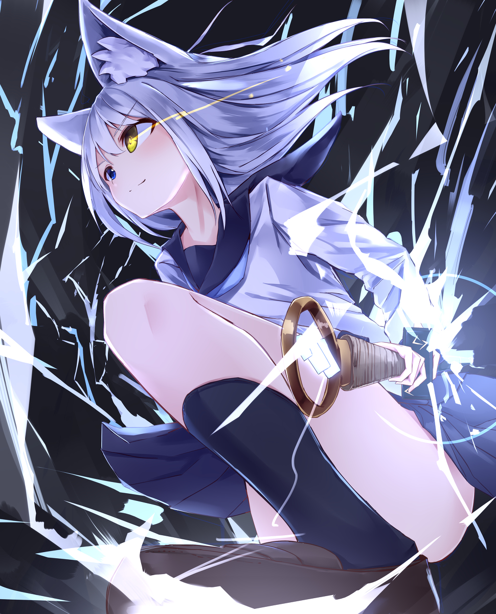 This is a pixiv picture whose title is LIGHTNING抜刀けもみみ.