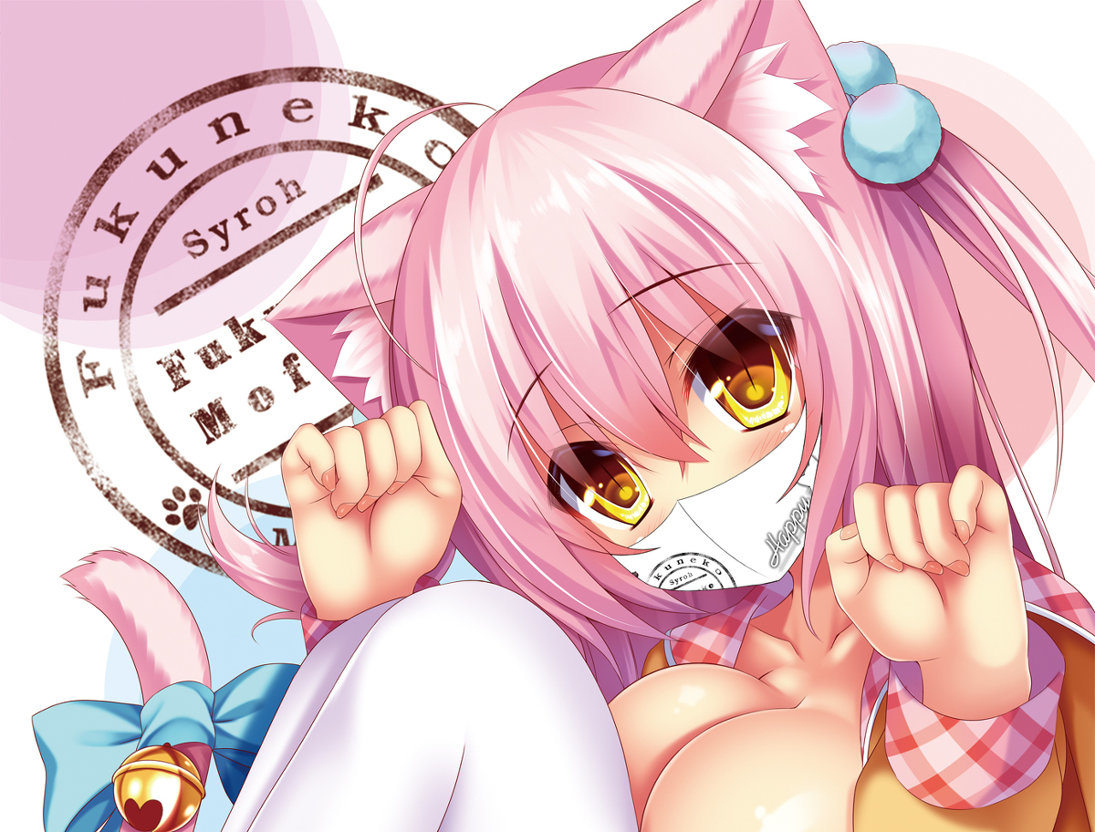 This is a pixiv picture whose title is 【受注生産】布マスク～福猫シアミアキスマスク～.