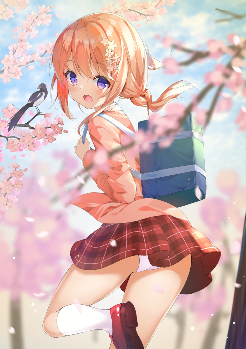This is a pixiv picture whose title is ココアさん２.