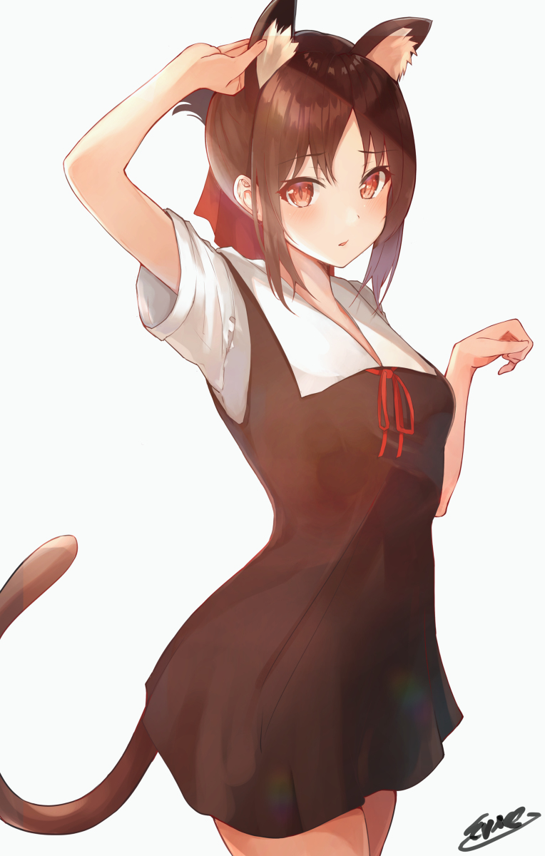 This is a pixiv picture whose title is ねこみみかぐや.