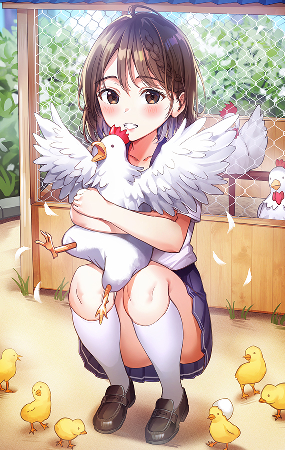 This is a pixiv picture whose title is 鶏.