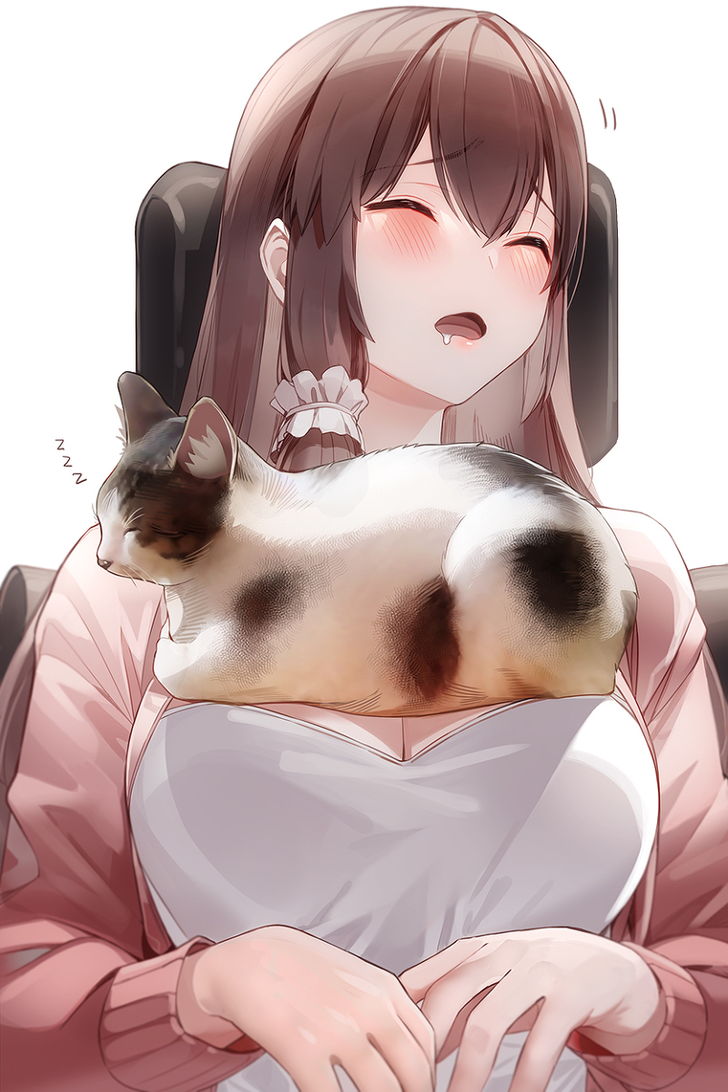 This is a pixiv picture whose title is 😴🐱.