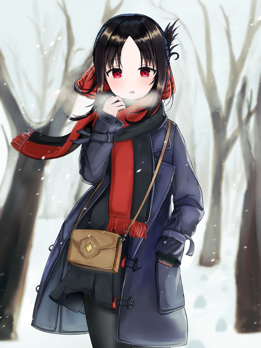 This is a pixiv picture whose title is Kaguya.