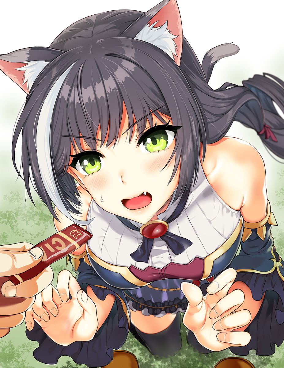 This is a pixiv picture whose title is プリコネ　キャル.