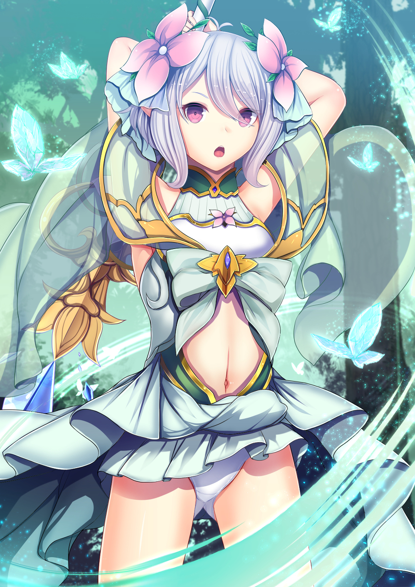 This is a pixiv picture whose title is プリンセスフォーム.