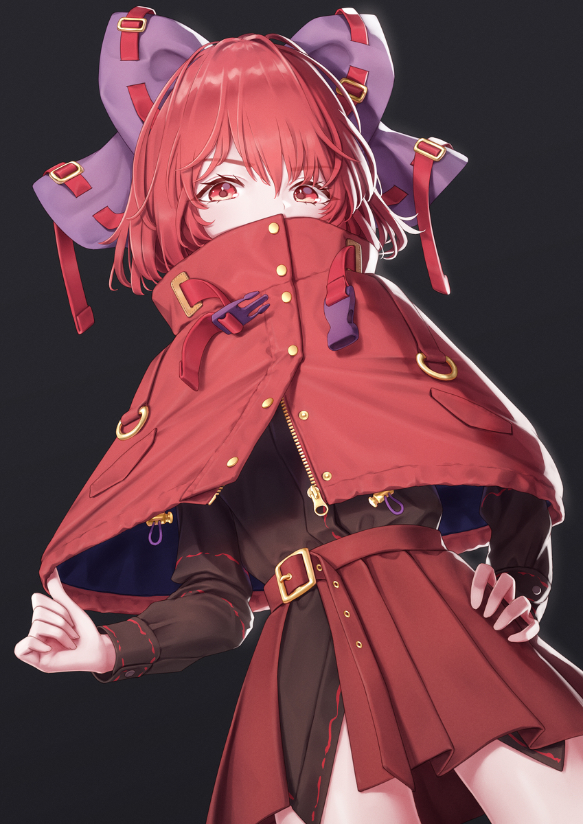 This is a pixiv picture whose title is ばんきちゃんの日.