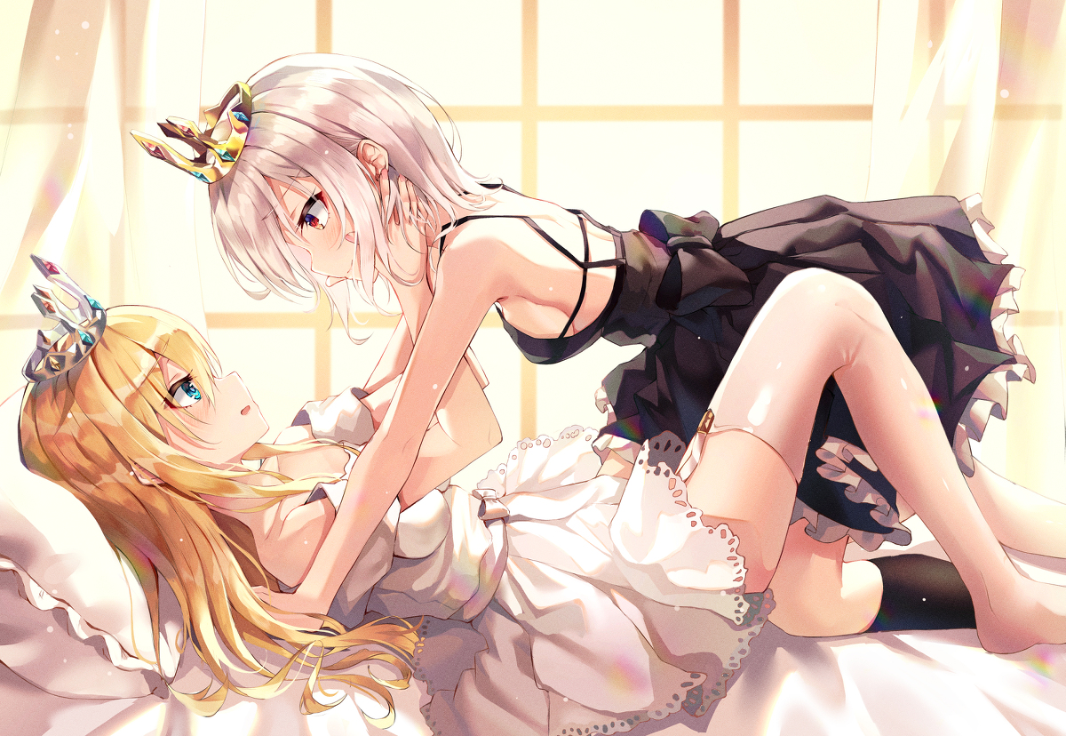 This is a pixiv picture whose title is 姫×姫.