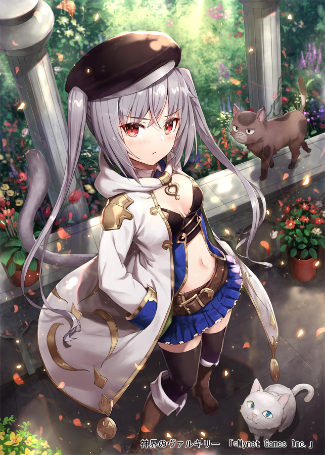 This is a pixiv picture whose title is 【神界のヴァルキリー】リナリア.