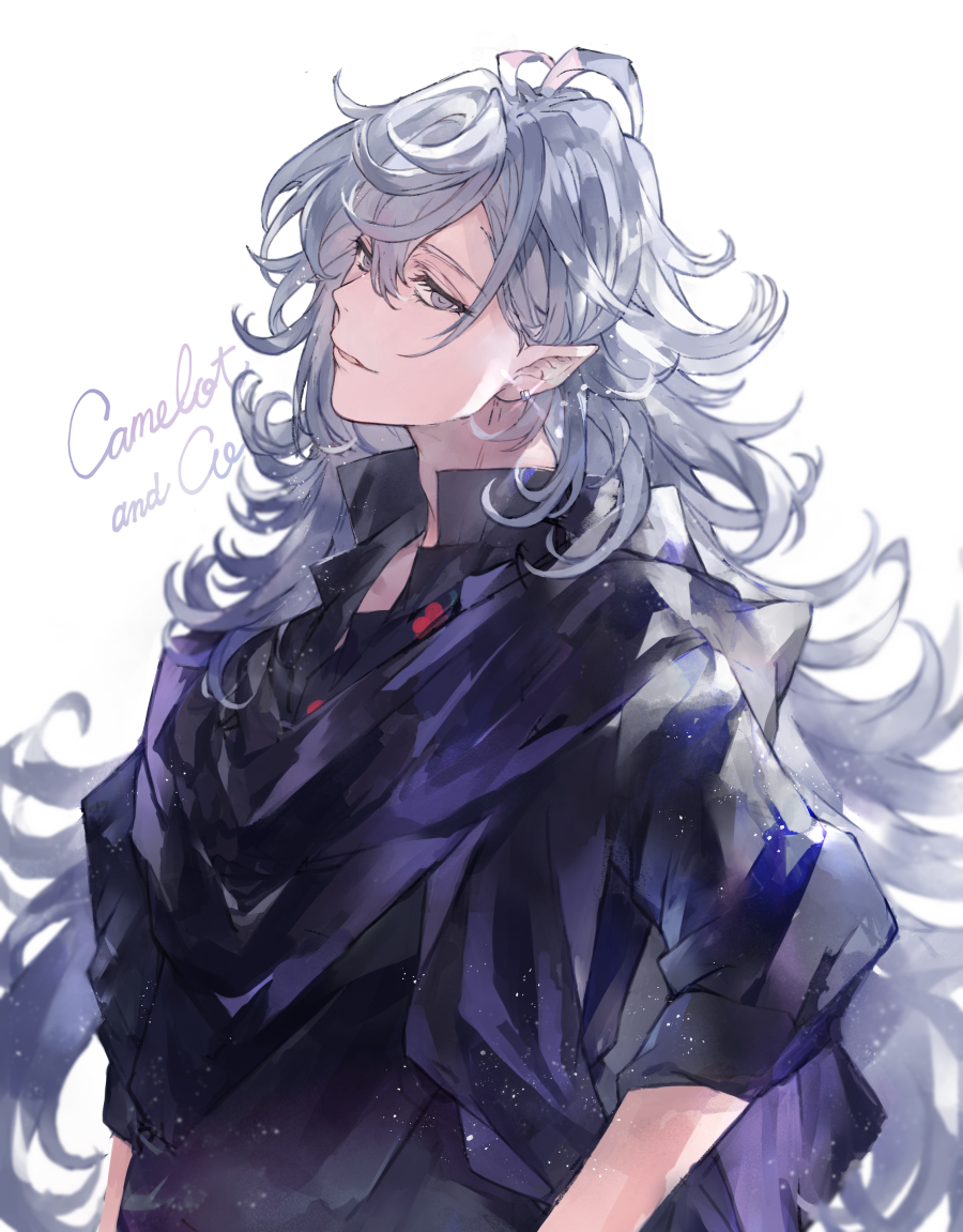 This is a pixiv picture whose title is マーリン.