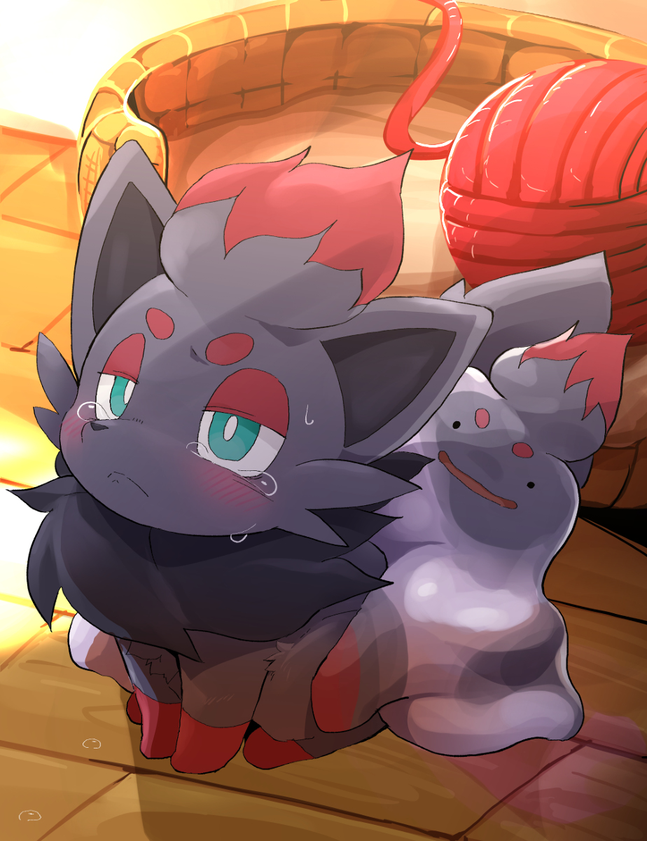 This is a pixiv picture whose title is 預かり屋にゾロアとメタモンを預けた.