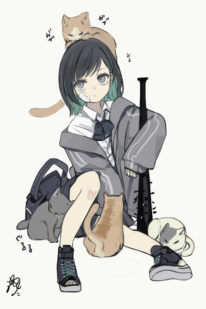 This is a pixiv picture whose title is 猫にだけ優しい暴行少女.