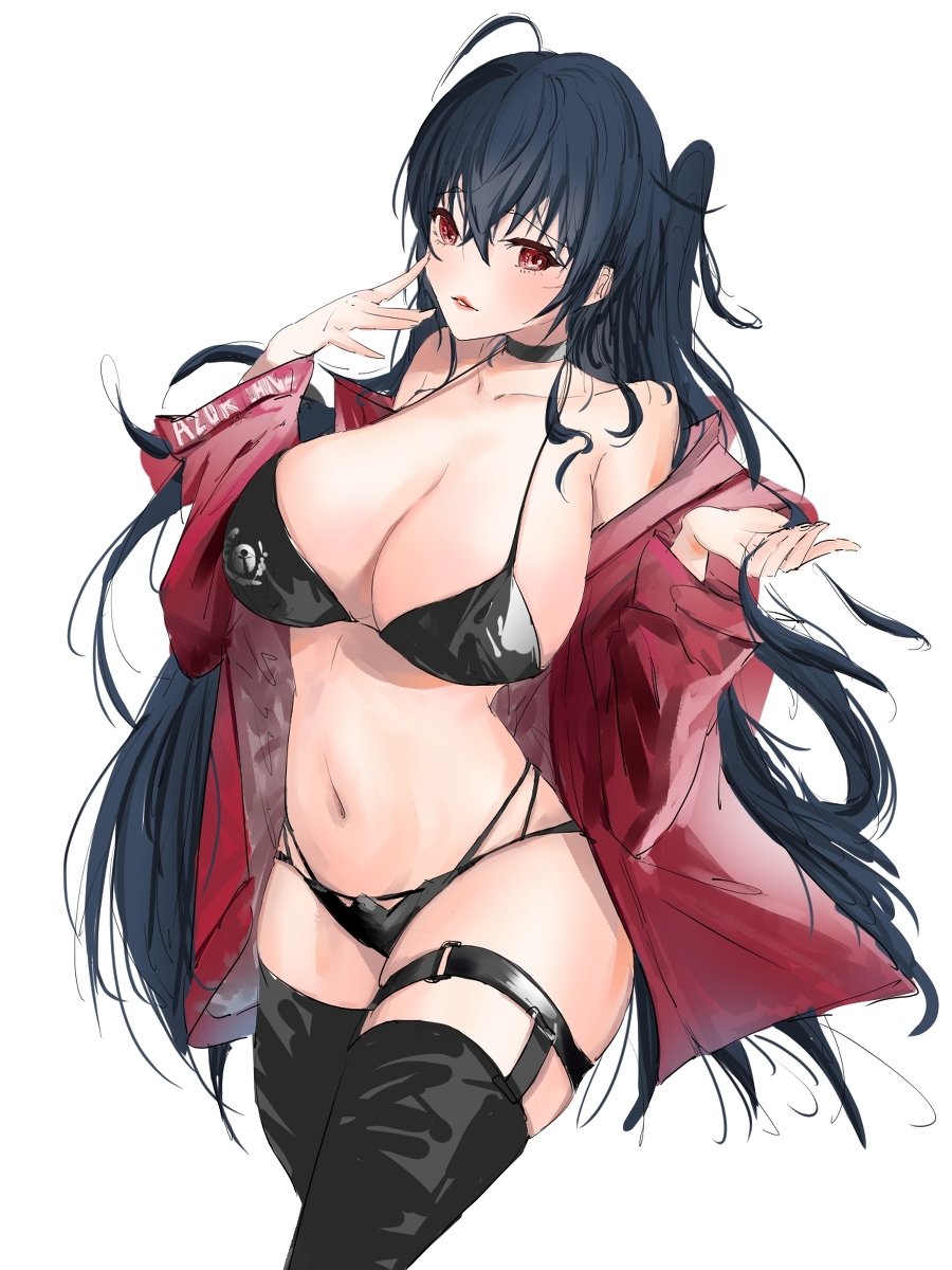 This is a pixiv picture whose title is 大鳳.