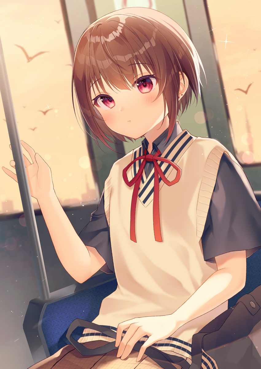 This is a pixiv picture whose title is 夕暮れ電車.