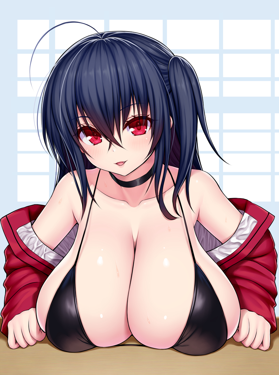 This is a pixiv picture whose title is レースクイーン大鳳.