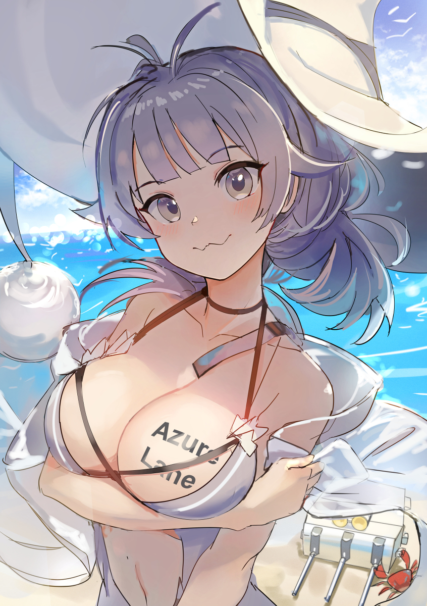 This is a pixiv picture whose title is Seattle Swimsuit.