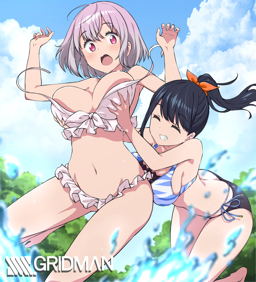 This is a pixiv picture whose title is 水着回.