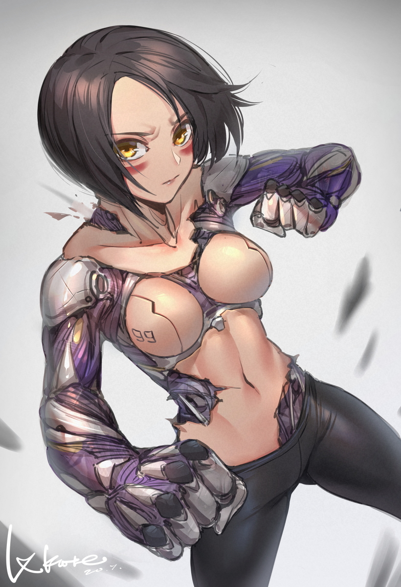 This is a pixiv picture whose title is Alita.