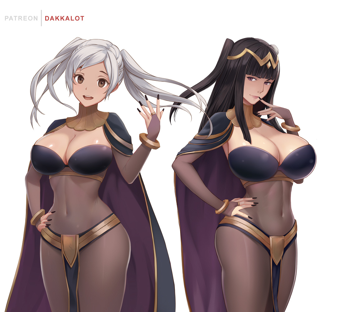 This is a pixiv picture whose title is F! Robin X Tharja.