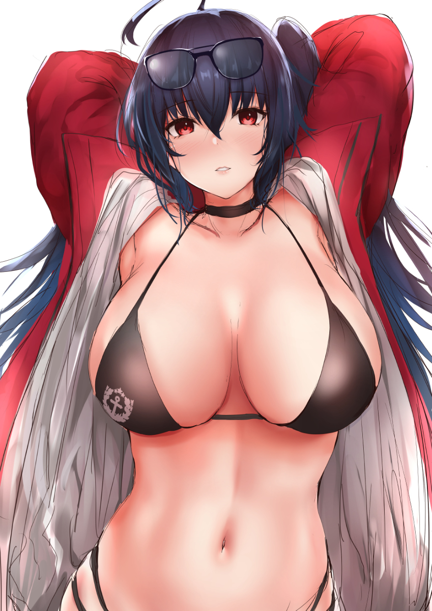 This is a pixiv picture whose title is RQ大鳳.