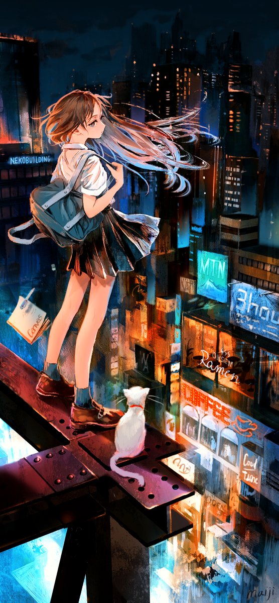 This is a pixiv picture whose title is 夜に帰る.