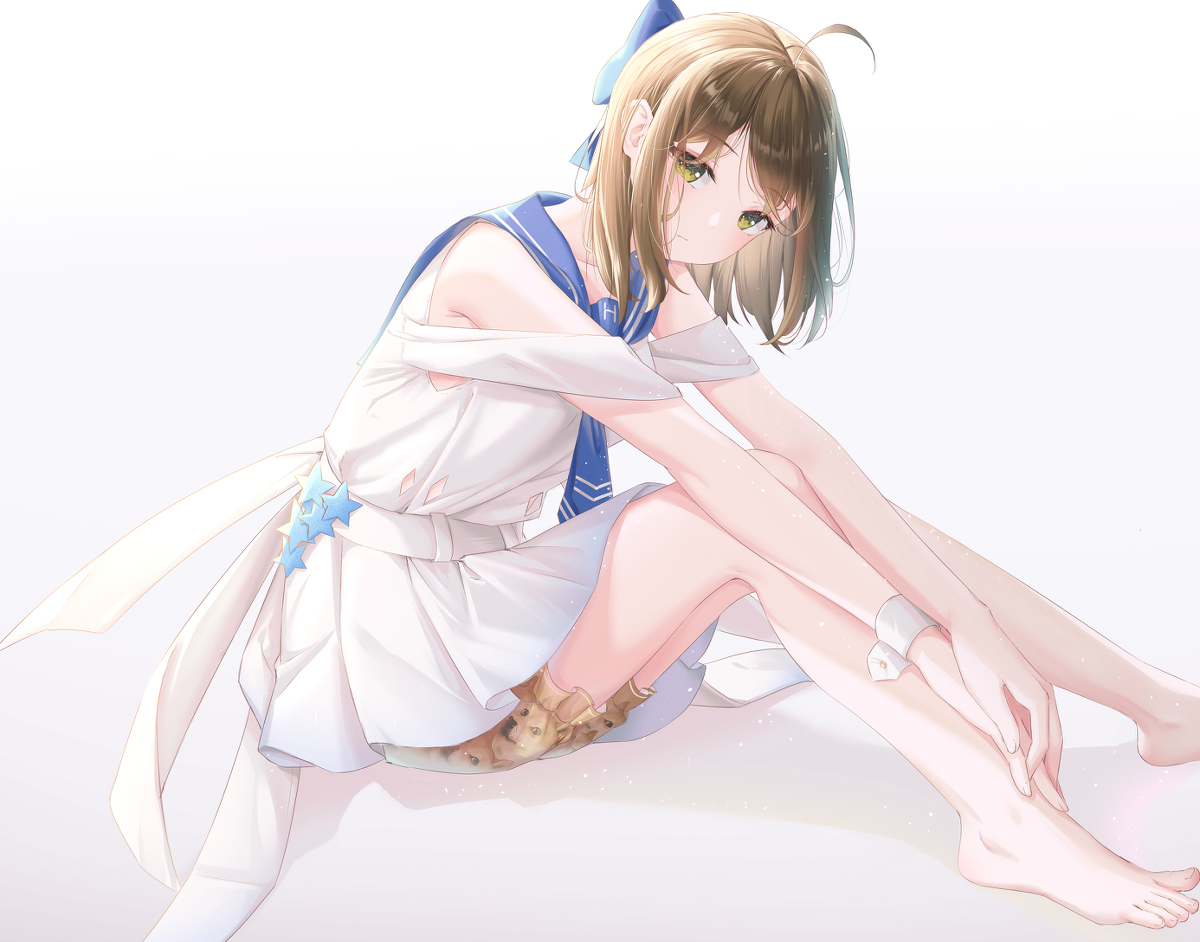 This is a pixiv picture whose title is hanser⭐.