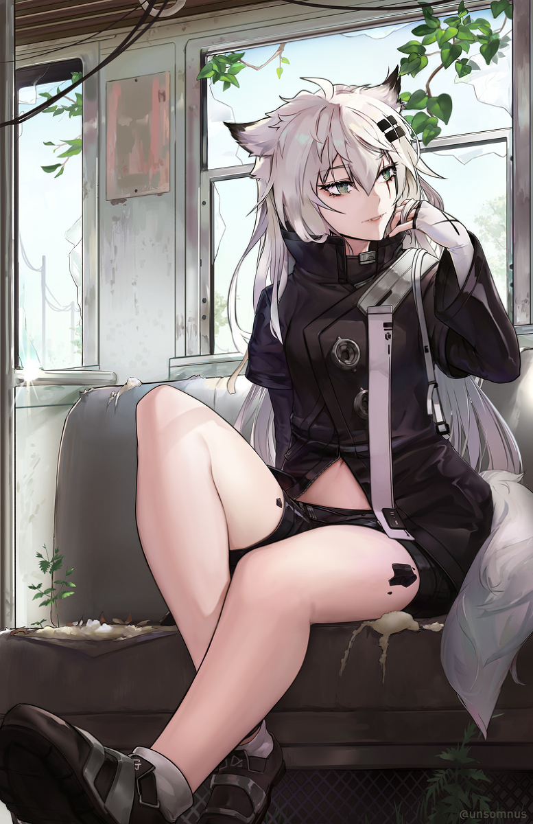 This is a pixiv picture whose title is Lappland - Arknights.