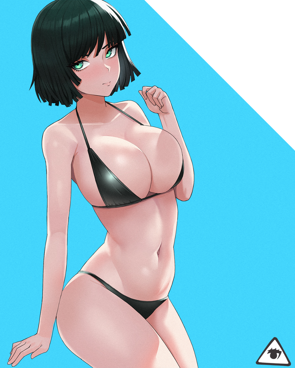 This is a pixiv picture whose title is fubuki.