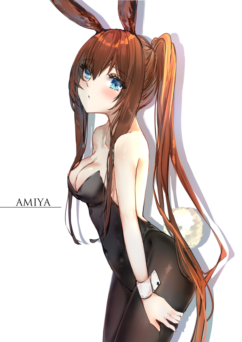 This is a pixiv picture whose title is アーミヤ.