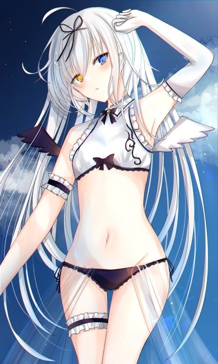 This is a pixiv picture whose title is 天空のフリューゲル.