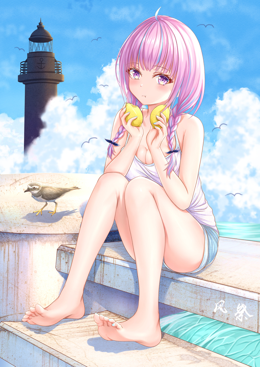 This is a pixiv picture whose title is 海 風 鳥 檸檬.