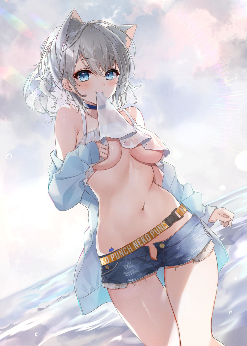 This is a pixiv picture whose title is 猫と曇り空.