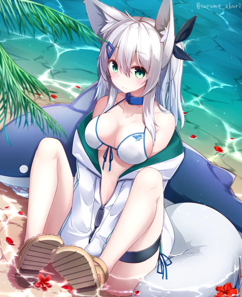 This is a pixiv picture whose title is 夏きつね.