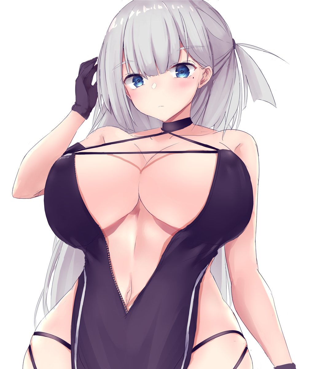 This is a pixiv picture whose title is 翔鶴.