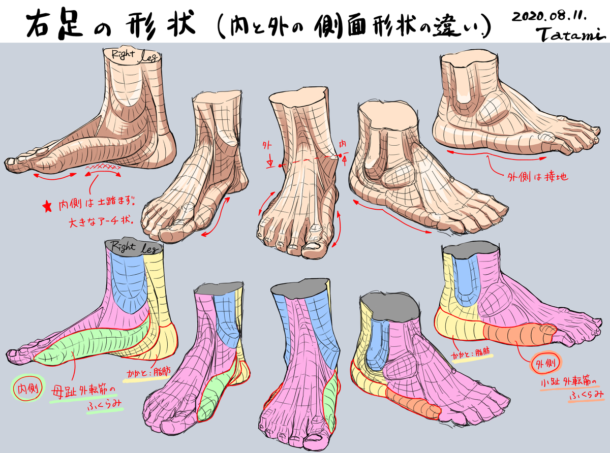 This is a pixiv picture whose title is 右足の形状　(内外の側面形状の違い).