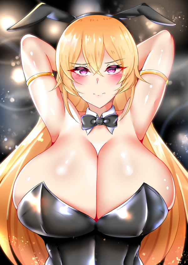 This is a pixiv picture whose title is ばにぃ～えりな.