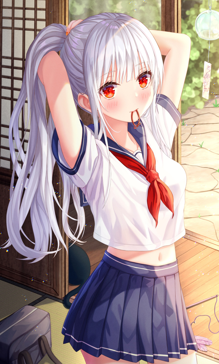 This is a pixiv picture whose title is JK.