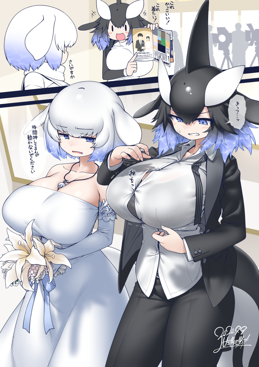 This is a pixiv picture whose title is ﾀｷｼｰﾄﾞｼｬﾁさん.