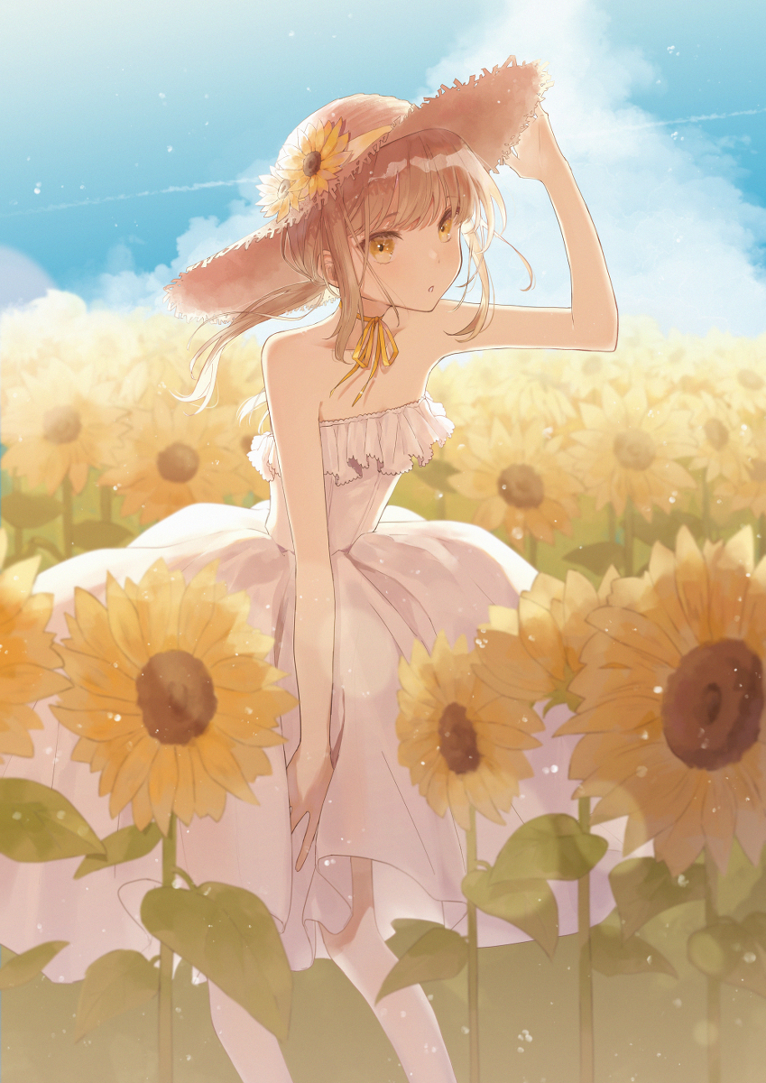This is a pixiv picture whose title is あの夏の日の思い出.