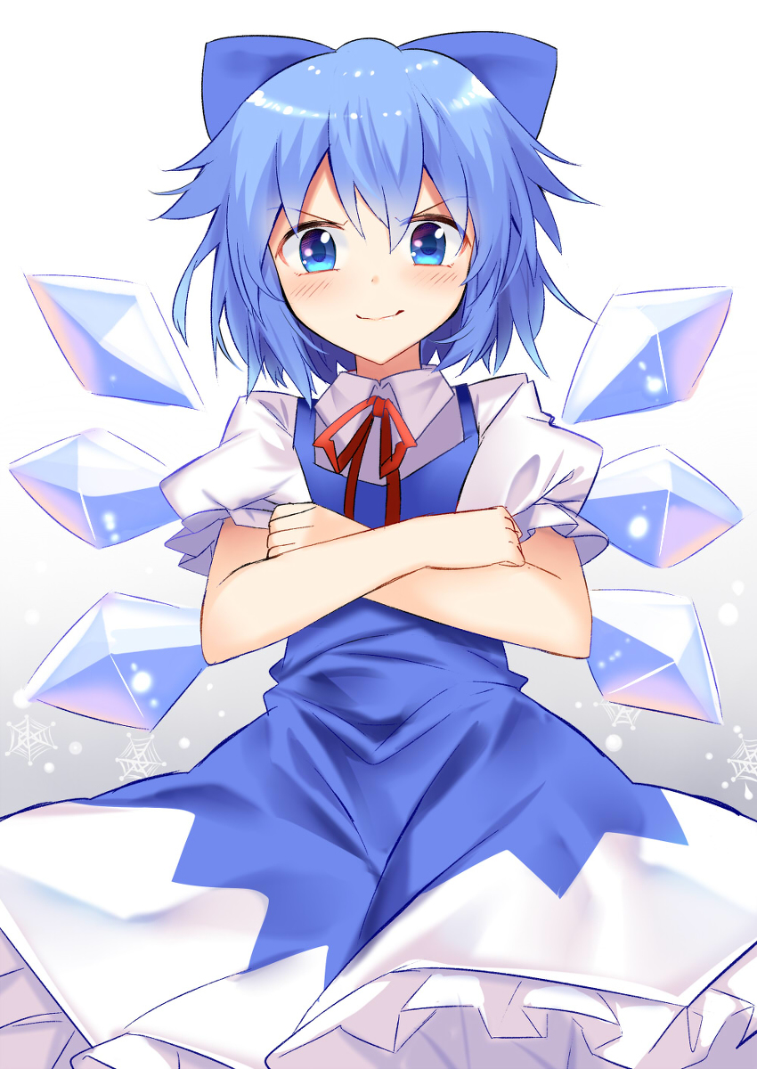 This is a pixiv picture whose title is どやチルノ.