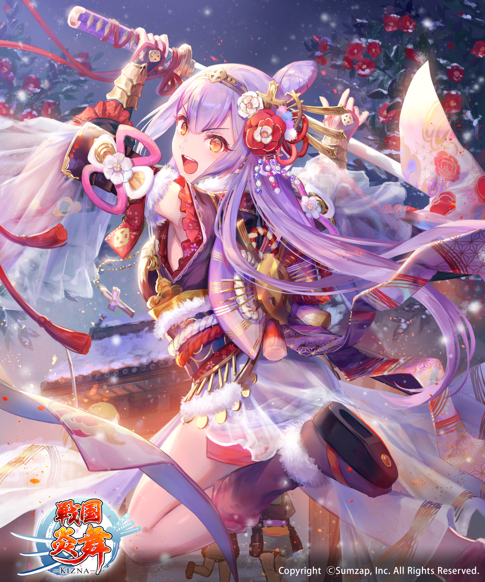 This is a pixiv picture whose title is 【仕事絵】戦国炎舞「波多野秀治」.